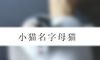小猫名字母猫