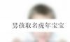 男孩取名虎年宝宝