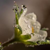 黄道带龙龙寿命雨水分析