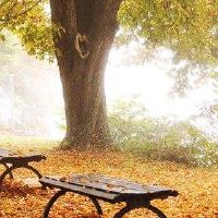 独家白羊座情感报价