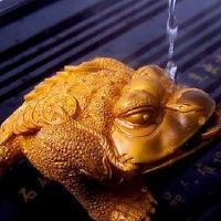 在水中梦想梦是什么意思?梦想着蟾蟾是一位绅士还是凶猛?