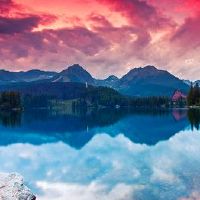 梦见猪,猪的意思是什么?