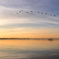 陕西日本的禁忌是什么？统治佛罪的十二个月是多少？