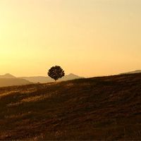 你吃水果吗？赛车和素食有什么区别？
