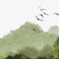 数十万个字符是官方杀害合规的八个字符是什么？