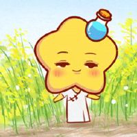 第一星作品瓶2022年工作查询详细版