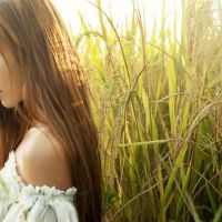 三个大型contonelors总是在谈论,总是在线