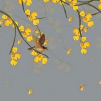 易经解读手机号码 手机号的风水学说最新版