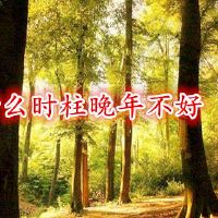 什么时候没有老年人？