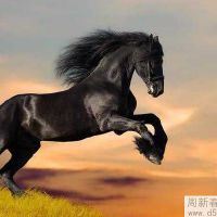 属马害太岁何时结束，属马的人运势及运程怎么样