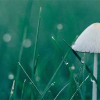 在2022年，农历七天的日历是吉日，你能拿起你的车吗？