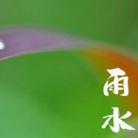 在2022年，雨的日子是好的，宝宝的帮派是什么？