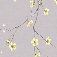 车牌号最忌讳哪个数字 热门吉利车牌号码推荐