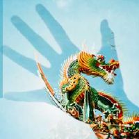 2月2日我应该注意什么？我应该在同一天吃什么？