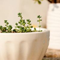 是Jiji，2022年的恐怖？这是几九？