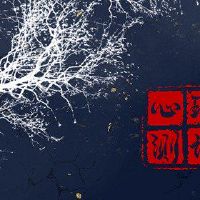 内幕测试,你是哪个部分最好?