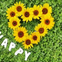 星座的黄道带组合是什么女孩结婚的