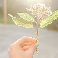 这个星座最受欢迎的排名,是你在列表吗?