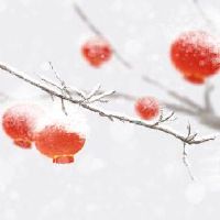 第一年喝粥,我怎么能得到粥?