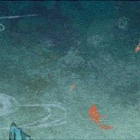 壬寅流年对哪些人有利 物质生活丰富运势回升