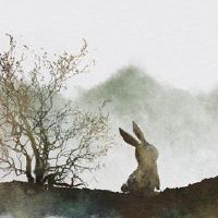 1963年，出生的人出生于哪一年，谁赚了一笔财富。