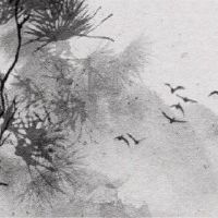 八十X丈夫真的不能结婚？