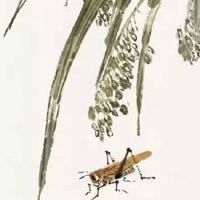 山头火命喜什么忌什么 火命人最适合红色