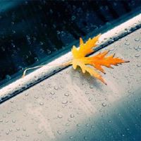 12个星座最改变的星座