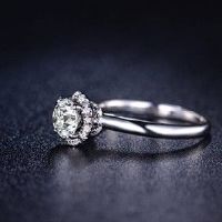 十二个星座独家戒指