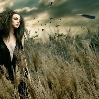 速度，不可预测，让头星座