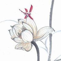 2004属猴是什么命运 事业版图进一步扩大