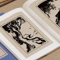 大型女子商店名称，大尺寸女式商店名称