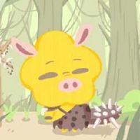 1995年五行的命运是什么?