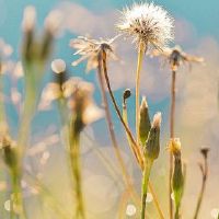 拇指的手分析特别粗糙