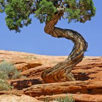 在十天内的十个季节的变化