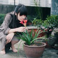 三个主要Zods最繁重的颜色