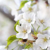 只有星座，无论结果如何