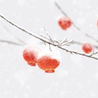 腊月二十三有什么年俗 小年祭灶祈求平安