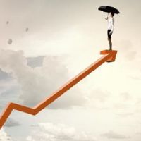 黄道带在简单的花园里