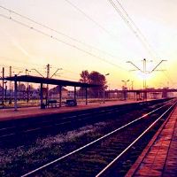 延伸旅行将有一个意想不到的金融生肖