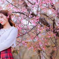 恋爱中的四个大女士一生!