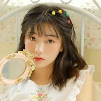 角色温柔且易于关闭，并且十二生肖女孩深受男性的喜爱。