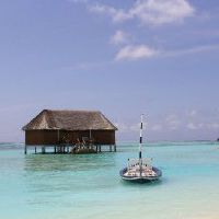 如果它是自由的，可以抛出生命的爱