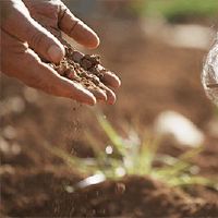 市中心的名字是什么？