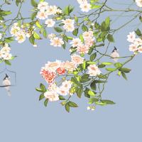 2022年3月24日入住新宅好吗 农历二月二十二今日黄历分析