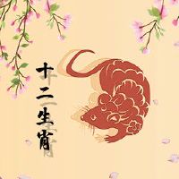 在2022只老鼠中我应该注意什么？骑