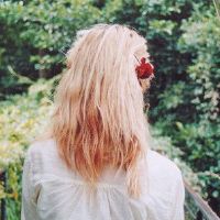 十二生肖从不缺乏生命