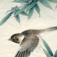 五行穿衣|2022年3月1日教你穿出好运来