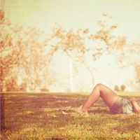 爱的12个星座（下面）