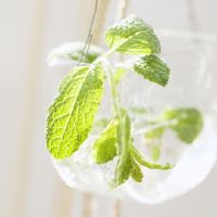 当12星男性看到p架乎照片